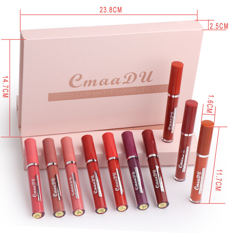 Luxury Matte Waterproof Lipstick Set